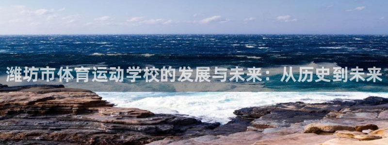 JJB竞技宝官方正版app五金厂：潍坊市体育运动学校的发展与