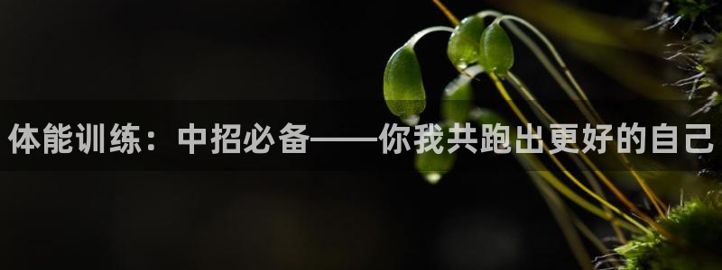 JJB竞技宝官方正版app娱乐：体能训练：中招必备—