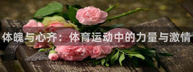 JJB竞技宝官方正版app娱乐代理怎么样：体魄与心齐