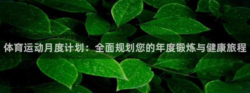 JJB竞技宝官网下载平台：体育运动月度计划：全面规划