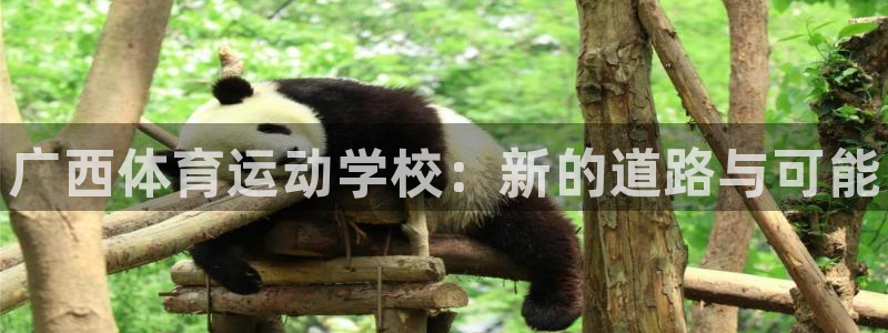 JJB竞技宝官网下载联系电话：广西体育运动学校：新的道路与可