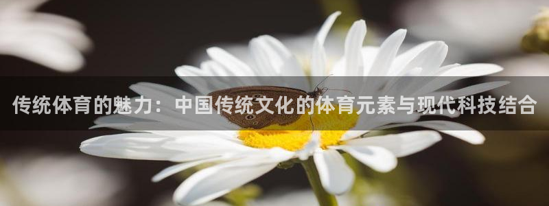 JJB竞技宝官网下载平台注册要钱吗是真的吗：传统体育
