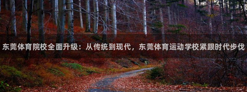 JJB竞技宝官网下载招商电话号码是多少啊：东莞体育院校全面升