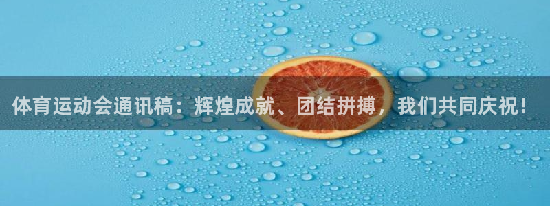 海南JJB竞技宝官网下载：体育运动会通讯稿：辉煌成就