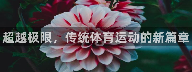 JJB竞技宝官方正版app集团logo：超越极限，传