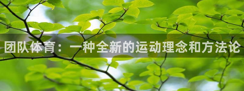 注册JJB竞技宝官方正版app：团队体育：一种全新的运动理念