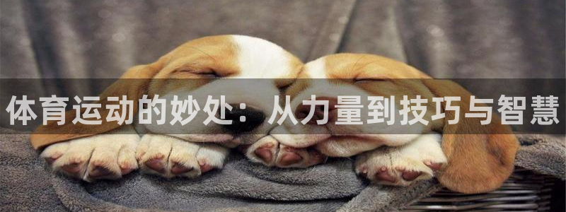 JJB竞技宝官网下载招商电话号码查询是多少：体育运动