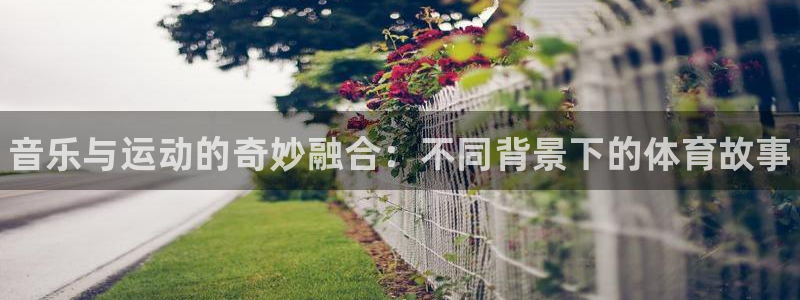JJB竞技宝官网下载平台是正规平台吗安全吗：音乐与运