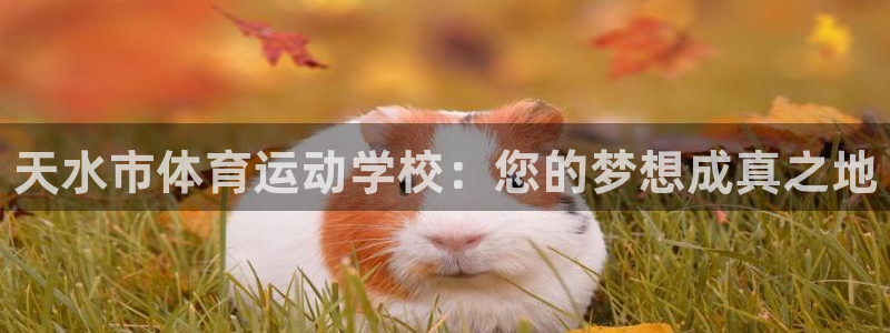 JJB竞技宝官网下载招商电话号码是多少啊