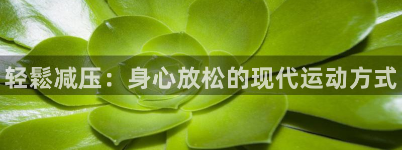 JJB竞技宝官网下载