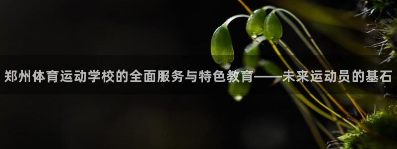 JJB竞技宝官网下载平台