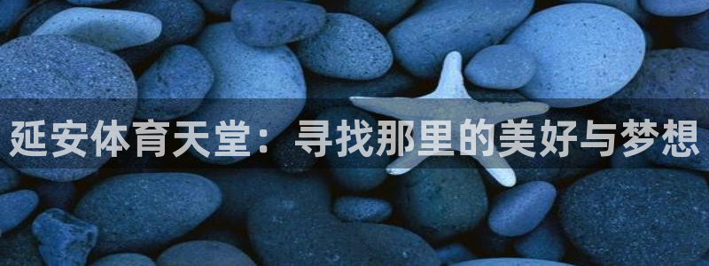 JJB竞技宝官网下载招商电话地址
