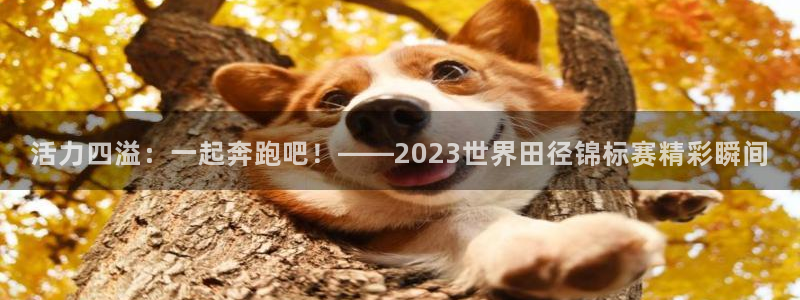 JJB竞技宝官网下载招商电话号码查询是多少：活力四溢：一起奔