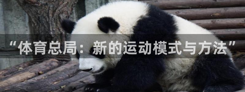 JJB竞技宝官网下载开户：“体育总局：新的运动模式与方法”