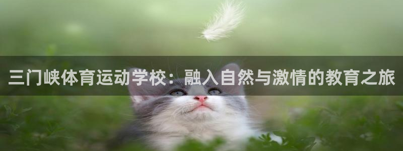 JJB竞技宝官网下载招商电话号码查询