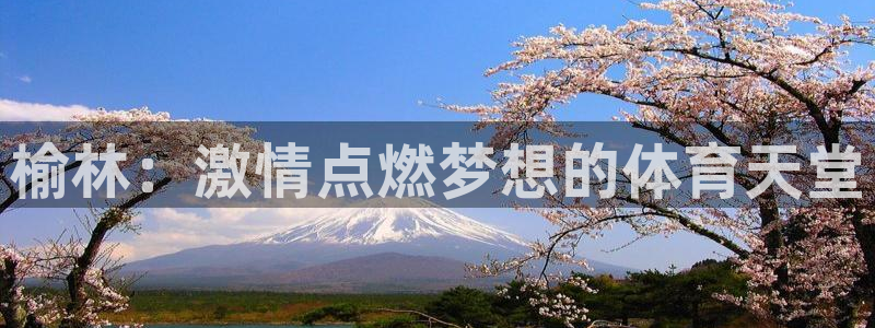 JJB竞技宝官网下载平台APP：榆林：激情点燃梦想的体育天堂