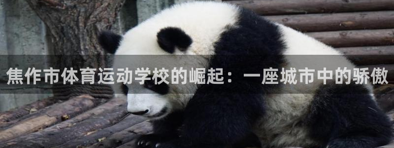 JJB竞技宝官网下载招商电话地址是多少