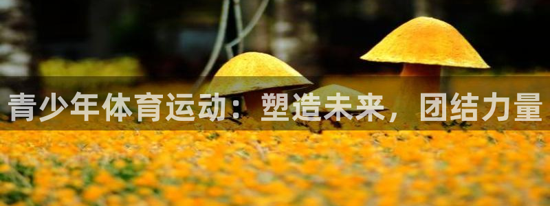 JJB竞技宝官网下载招商电话地址查询：青少年体育运动：塑造未