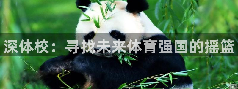 JJB竞技宝官网下载招商电话号码是多少啊：深体校：寻找未来体