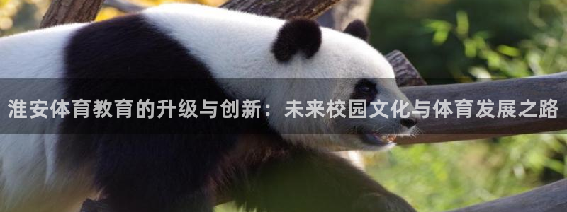 JJB竞技宝官方正版app新能源：淮安体育教育的升级与创新：