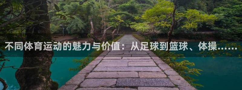 JJB竞技宝官方正版app娱乐首页官网下载:不同体育运动的魅