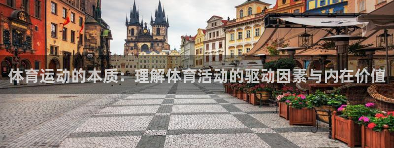 海南JJB竞技宝官网下载：体育运动的本质：理解体育活动的驱动