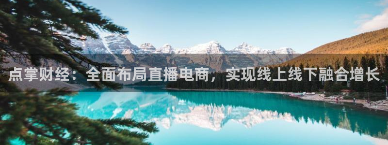 松鼠直播体育：点掌财经：全面布局直播电商，实现线上线下融合增长