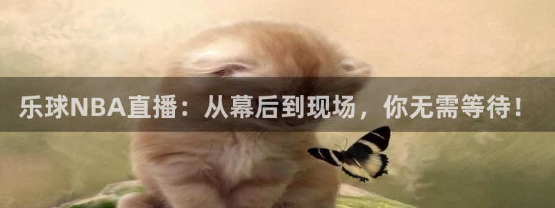 松鼠体育下载：乐球NBA直播：从幕后到现场，你无需等待！