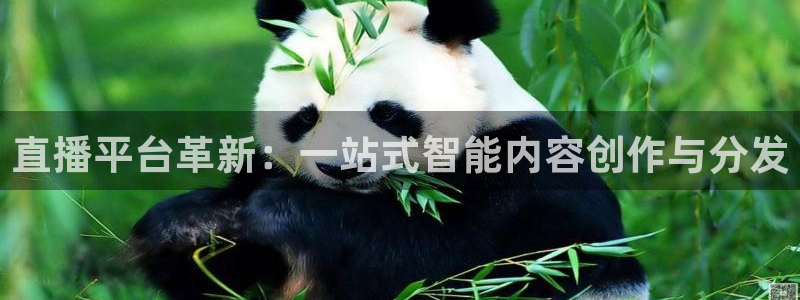 松鼠体育：直播平台革新：一站式智能内容创作与分发